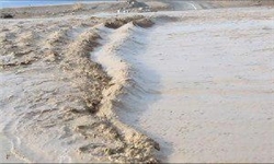 خسارت وسیع سیل به مزارع غرب کشور/سرما ۲۰ تا ۱۰۰ درصد به باغات میوه خسارت زد