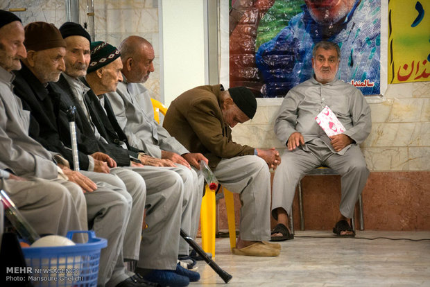 گردو بخورید تا وقت پیری سالم باشید