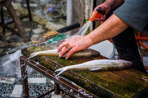 مصرف ماهی چرب در بارداری و کاهش ابتلای جنین به آسم