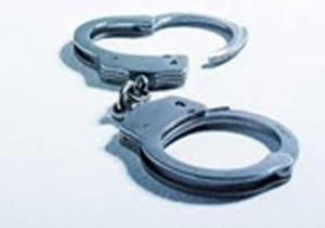 سلطان مازندران در خیابان پایتخت به زانو در آمد