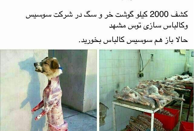 بالاخره ۲۰۰۰ کیلو گوشت سگ تبدیل به سوسیس شد؟+تصاویر