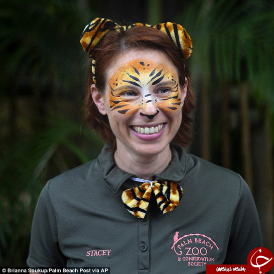 ببر عصبانی کارمند باغ‌وحش را خورد + تصاویر