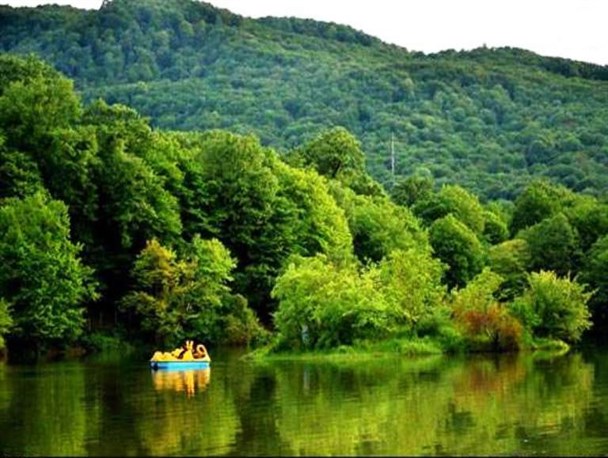 آرامش نشاط‌انگیز مهمان و میزبان در آغوش طبیعت/ مازندرانی‌ها سرسبزی دشت و جنگل را تقدیم مسافران کردند