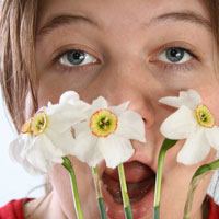 گرده گیاهان تنها عامل بروز آلرژی نیست