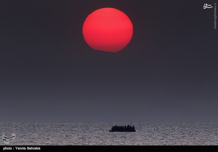 عکس/ برندگان جایزه عکس پولیتزر ۲۰۱۶