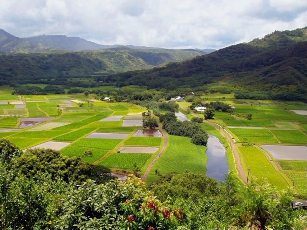مسئولان مازندران! ۳۴۹روز فرصت است برای ۱۴روز ۹۶، پس بشتابید!