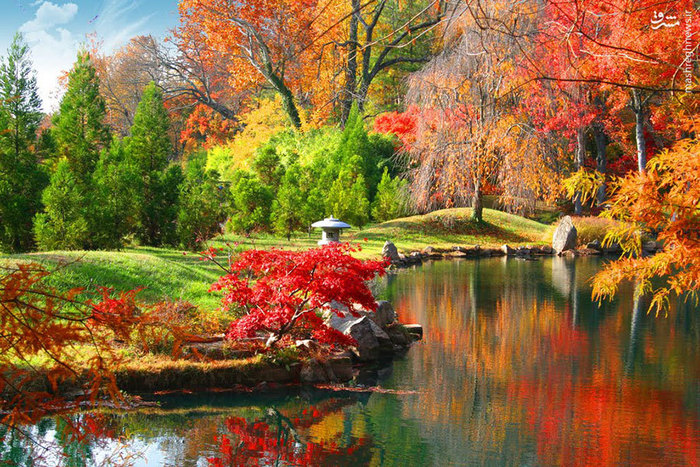 عکس/ پاییز شگفت انگیز ژاپن