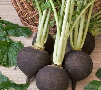 گیاه ضد سرماخوردگی، از خواص دارویی ترب نگذرید!