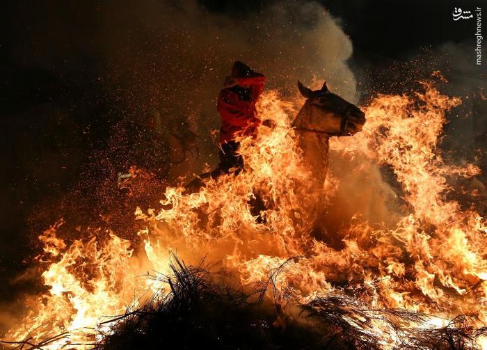 عبور اسب ها از میان آتش برای آمرزش