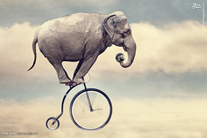 عکس های شرکت کننده در مسابقه عکاسی سونی‎