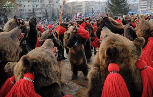 تصاویر/ رژه خرس پوشان در خیابان‌های رومانی