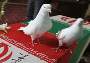 دانشگاه های آمل میزبان یک شهید گمنام