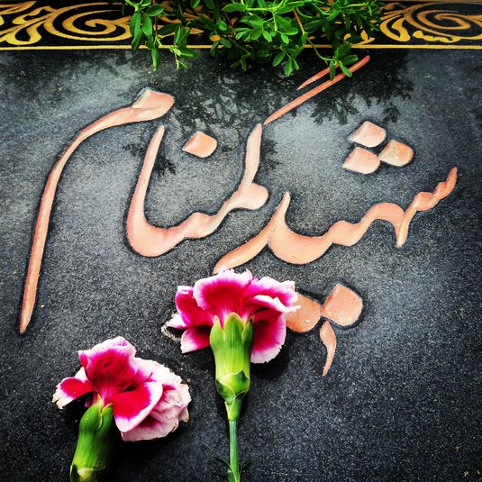 شهید گمنام مهمان مردم شهر هزار سنگر آمل