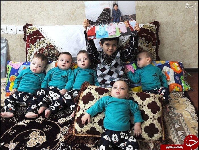 ۵ قلوهای مشهدی ۹ماهه شدند