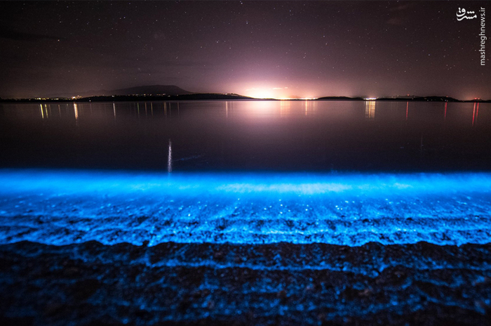 ساحل شبرنگی در استرالیا