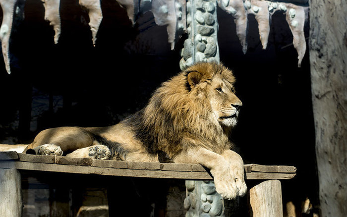 باغ وحش تهران