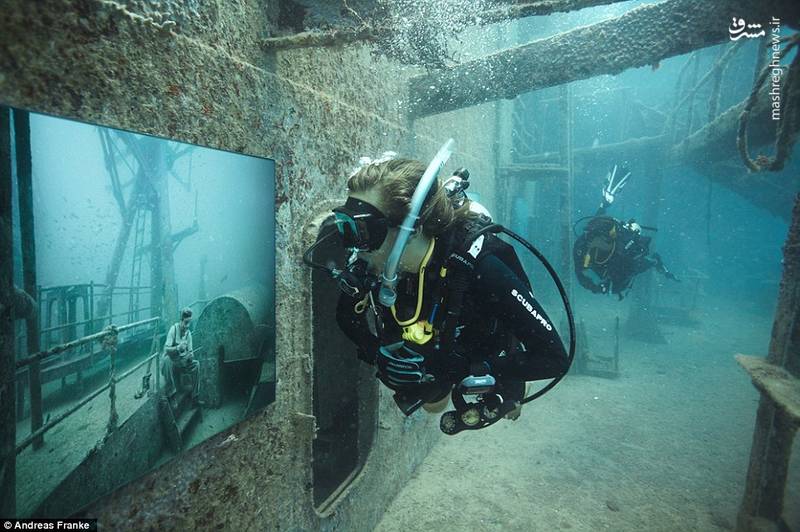 این عکس ها را باید زیر دریا دید