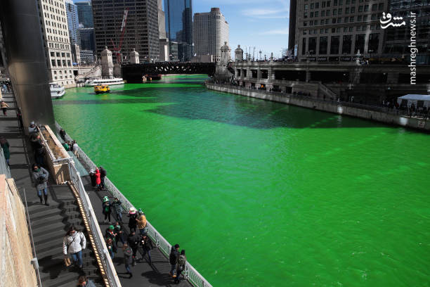 سبز شدن رنگ آب رودخانه شیکاگو
