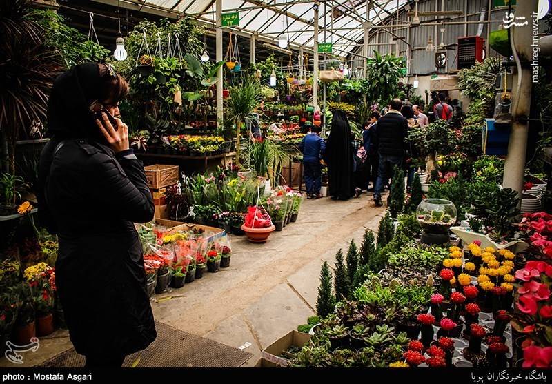 بازار گل و گیاه در آستانه نوروز