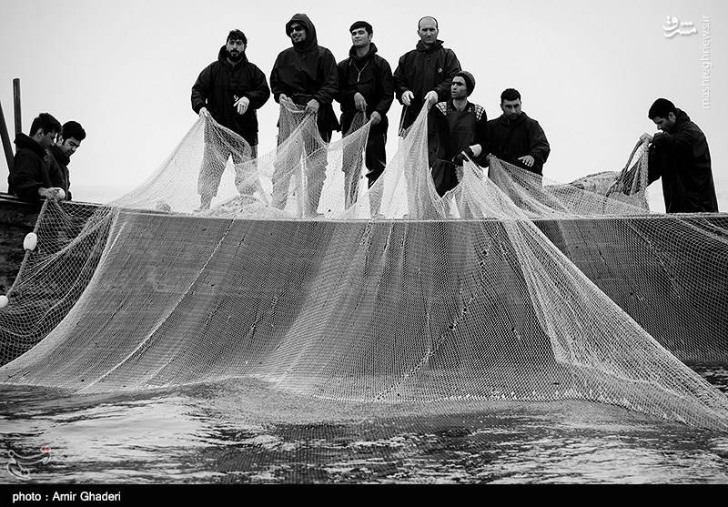 ماهیگیری در بندرانزلی