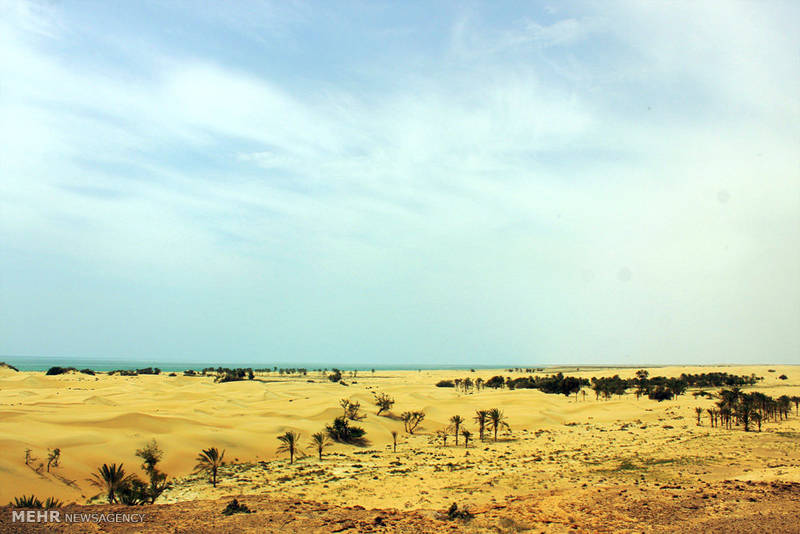 جایی در ایران که کویر به دریا می رسد