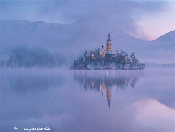 برندگان مسابقه عکاسی سونی ۲۰۱۷‎