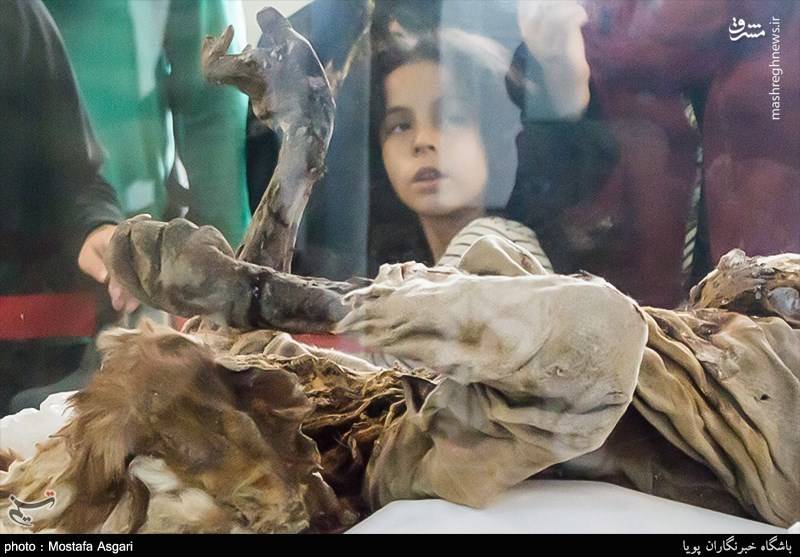 موزه مردان نمکی