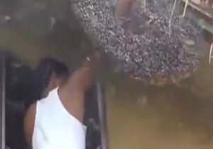 نیش زنبورها بر این مرد اثر ندارد + فیلم