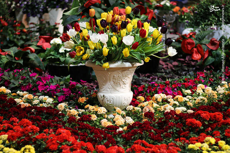 پانزدهمین نمایشگاه بین المللی گل و گیاه تهران