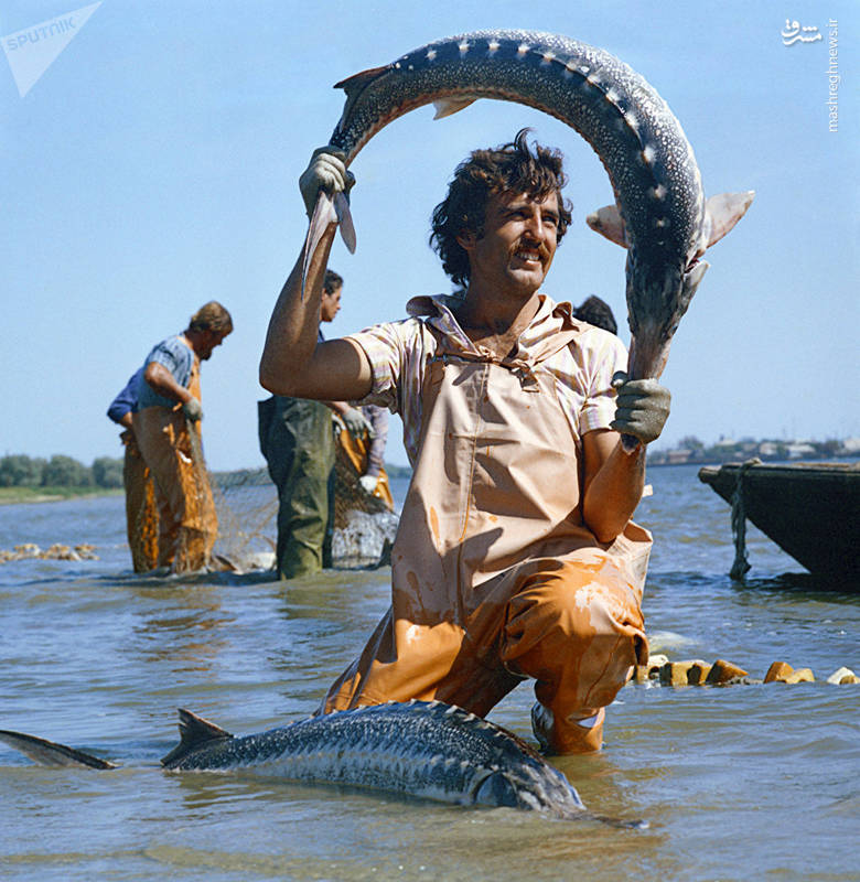 طولانی‌ترین و پرآب‌ترین رود اروپا