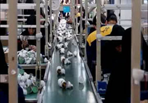 وقتی چشم و چراغ تولید داخلی کم‌سو می‌شود + فیلم