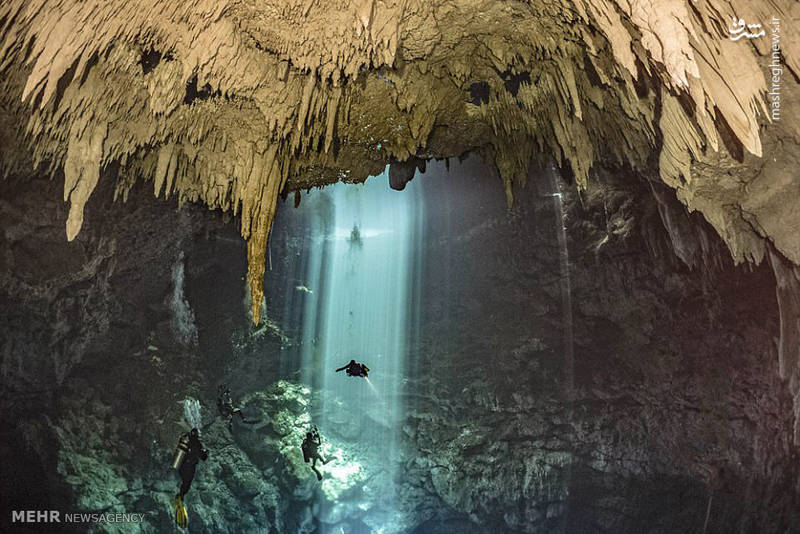 تصاویر زیبا از انعکاس نور در زیر آب‎