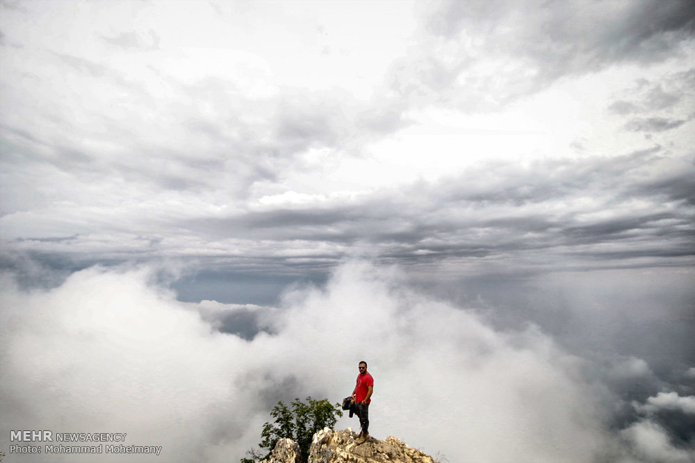 زندگی در پایین تصویر