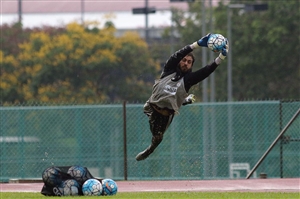 پایان داستان بازگشت سوشا به ایران