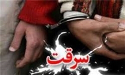 برای جلوگیری از دستبرد به محل کسبمان چه کنیم؟