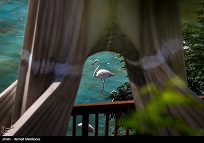 بازدید شهردار تهران از فاز دوم پاغ پرندگان تهران