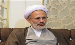 تعداد مواکب بانوان در اربعین حسینی افزایش یافته است