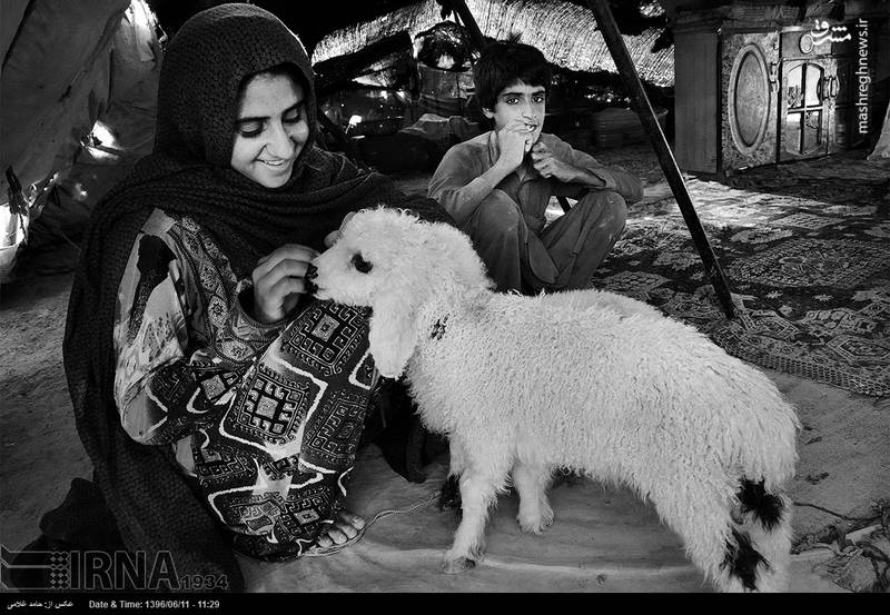 زندگی تجملاتی عشایر دریاچه هامون