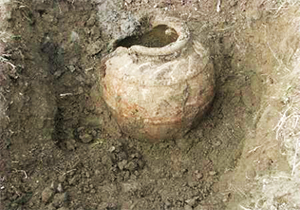 کشف چند خمره قدیمی توسط شهرداری همدان، موضوع داغ خبرگزاری‌ها + صوت