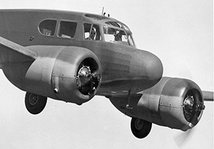 سقوط هواپیمای اجاره‌ای پس از برخورد با درخت + فیلم