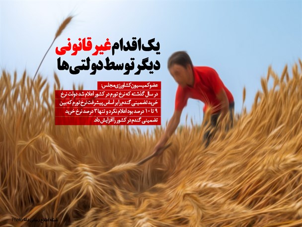 یک اقدام غیرقانونی دیگر توسط دولتی ها در حوزه واردات/ کشاورزان ضرر می کنند، دولت گندم وارد می کند!/ بهانه عجیب دولتی ها برای توجیه واردات گندم به کشور