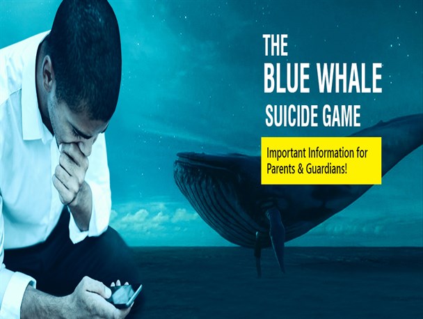 تلف شدن نهنگ ها پشت ساحل گوشی های هوشمند/ علت نامگذاری نهنگ آبی را بدانید!