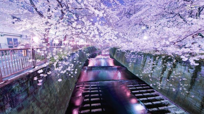 اَمن‌ترین شهر جهان در سال ۲۰۱۷