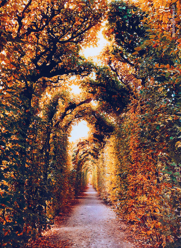 تصاویری دیدنی از پادشاه فصل‌ها