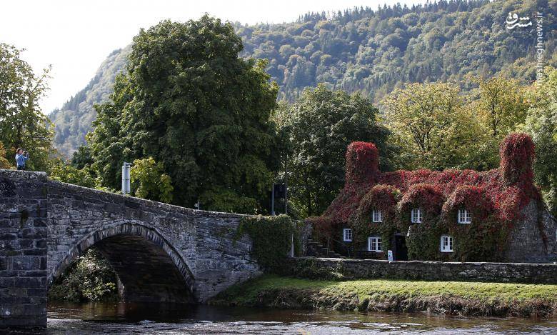 رنگ‌های پاییزی