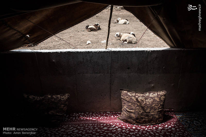 عشایر کرمانجی