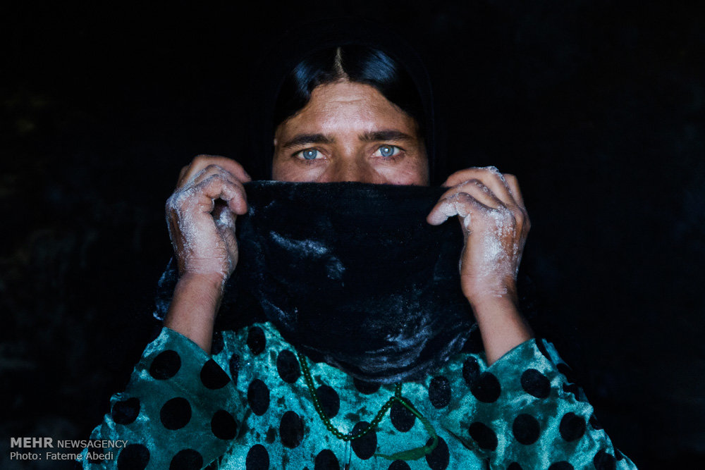 دای، استوارتر از درخت بلوط