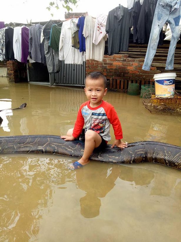 تفریح خطرناک و سمی پسربچه ۳ ساله + فیلم