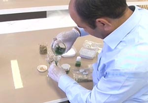 ساخت نانو ماسک با استفاده از جلبک‌های دریایی خلیج فارس + فیلم