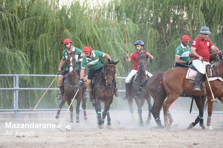 مسابقه چوگان در پارک طبیعت تهران برگزار شد+ تصاویر